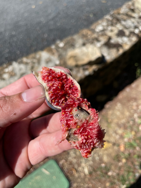 68510512022__8C57E0C7-F357-4161-A6C7-6C276998026F